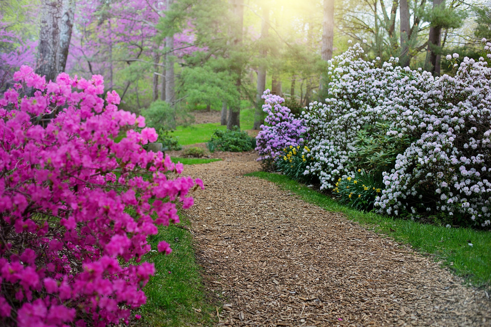 Processional Garden Path