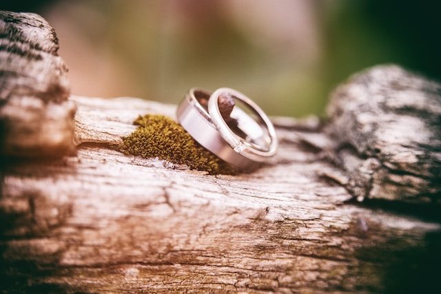 Two wedding rings resting on a mossy log